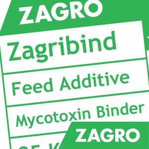 Zagribind