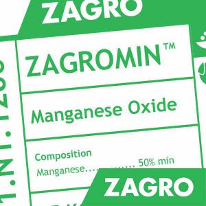 Zagromin