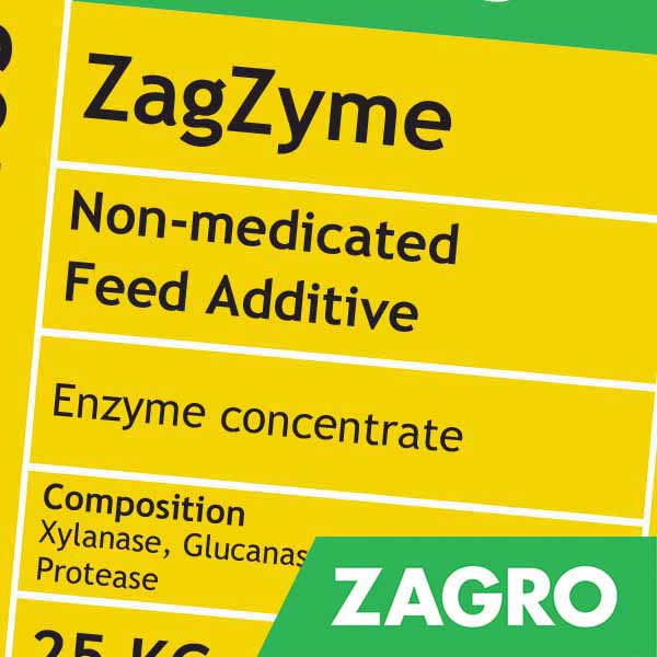 Zagzyme