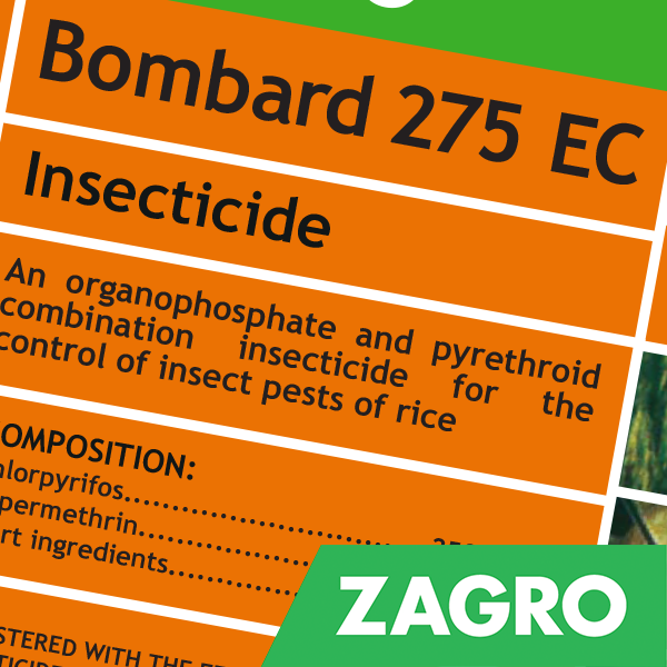 Chlorpyrifos + Cypermethrin